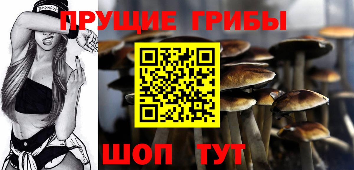 Псилоцибиновые грибы прущие грибы Майский