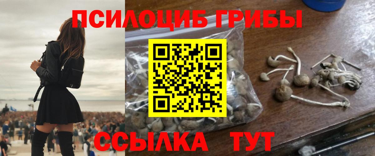 закладки  Псилоцибиновые грибы Psilocybine cubensis  Вход с VPN  Майский 
