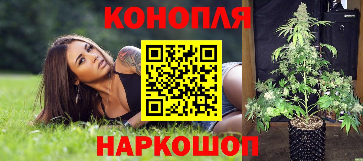 Майский  Каннабис семена  Конопля ГИДРОПОН  Вход с VPN 